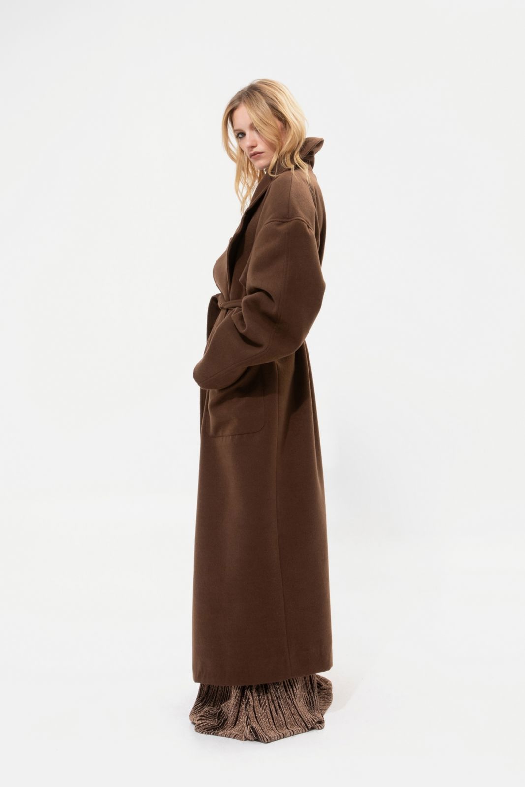 Picture of Brown Coat