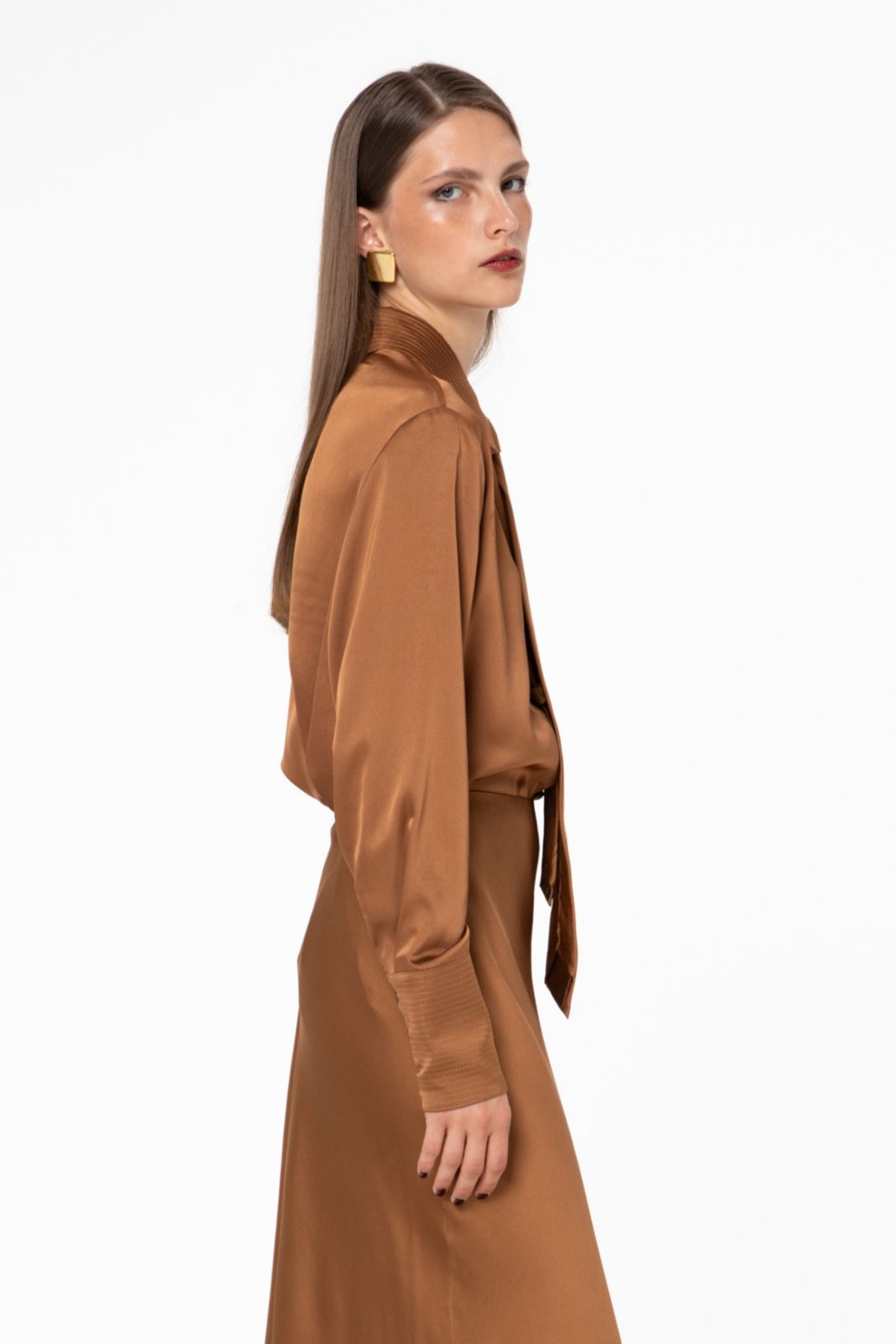 Picture of Bronze Embroidery Detail Shirt