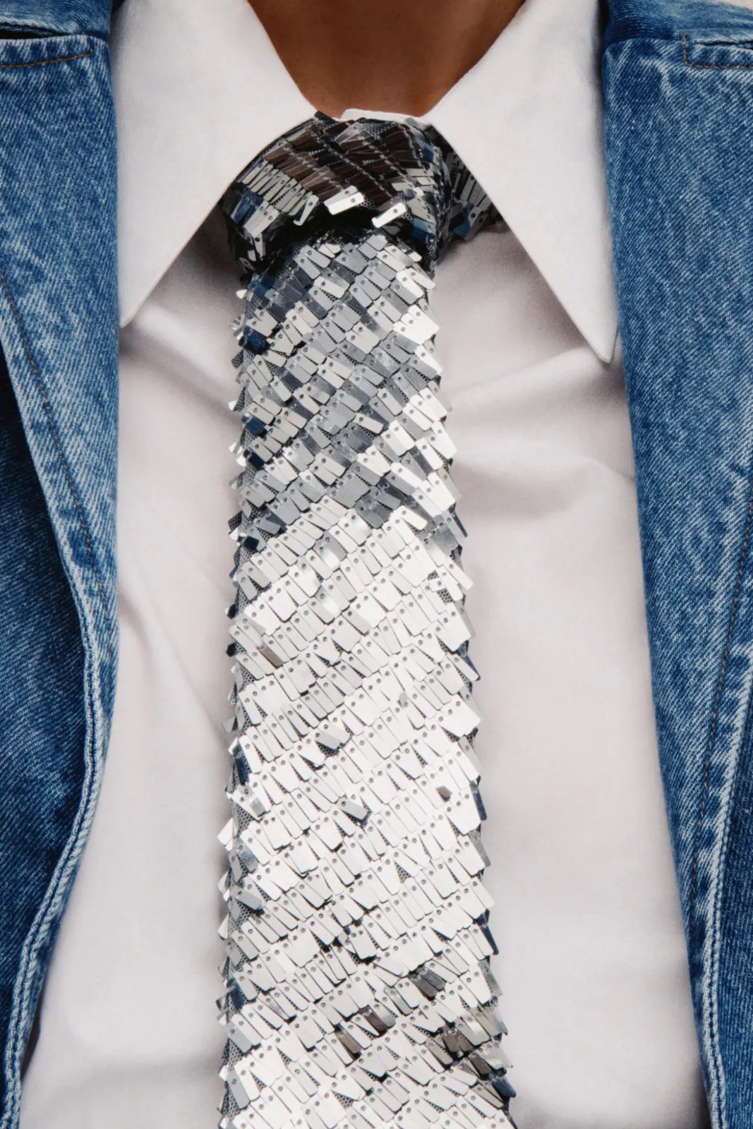 Picture of Silver Jackson Tie
