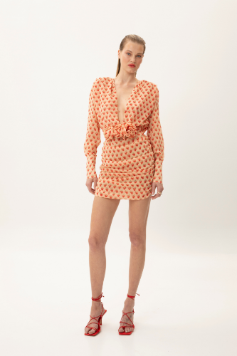 Picture of Strawberry Mini Dress