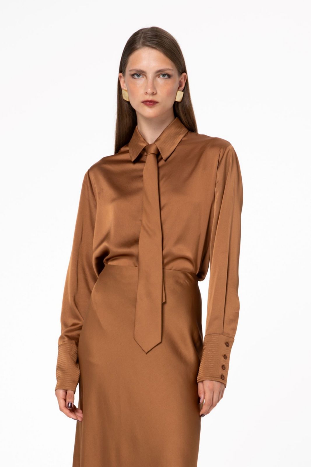 Picture of Bronze Embroidery Detail Shirt