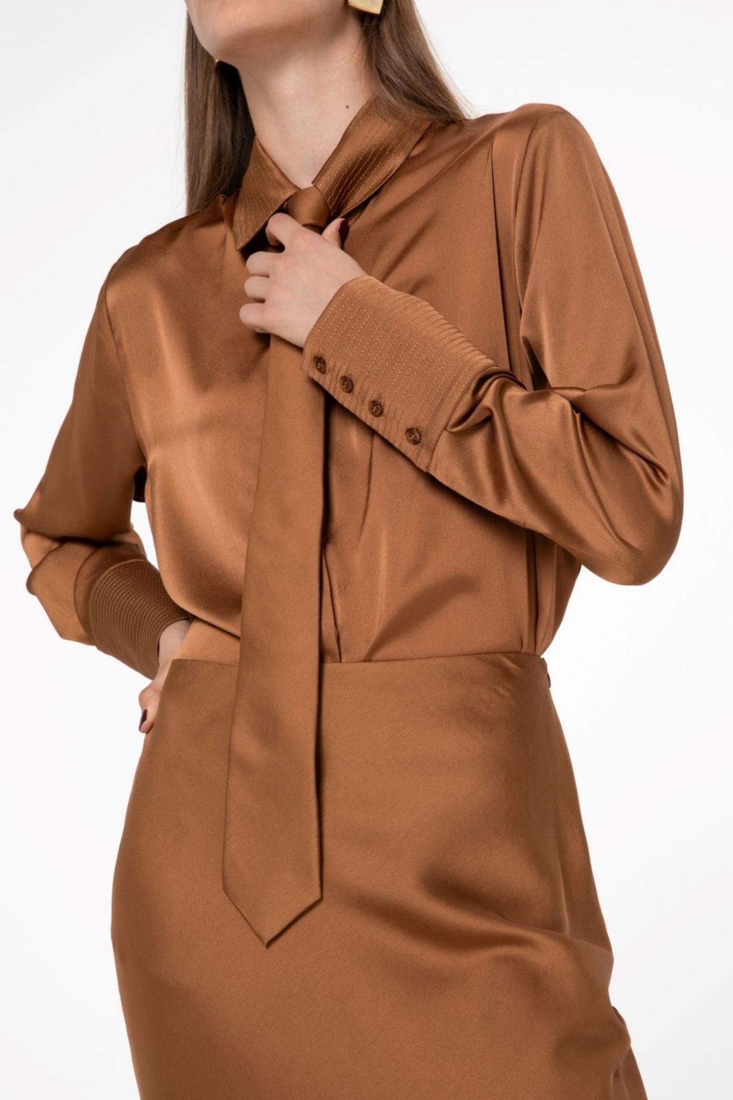 Picture of Bronze Embroidery Detail Shirt