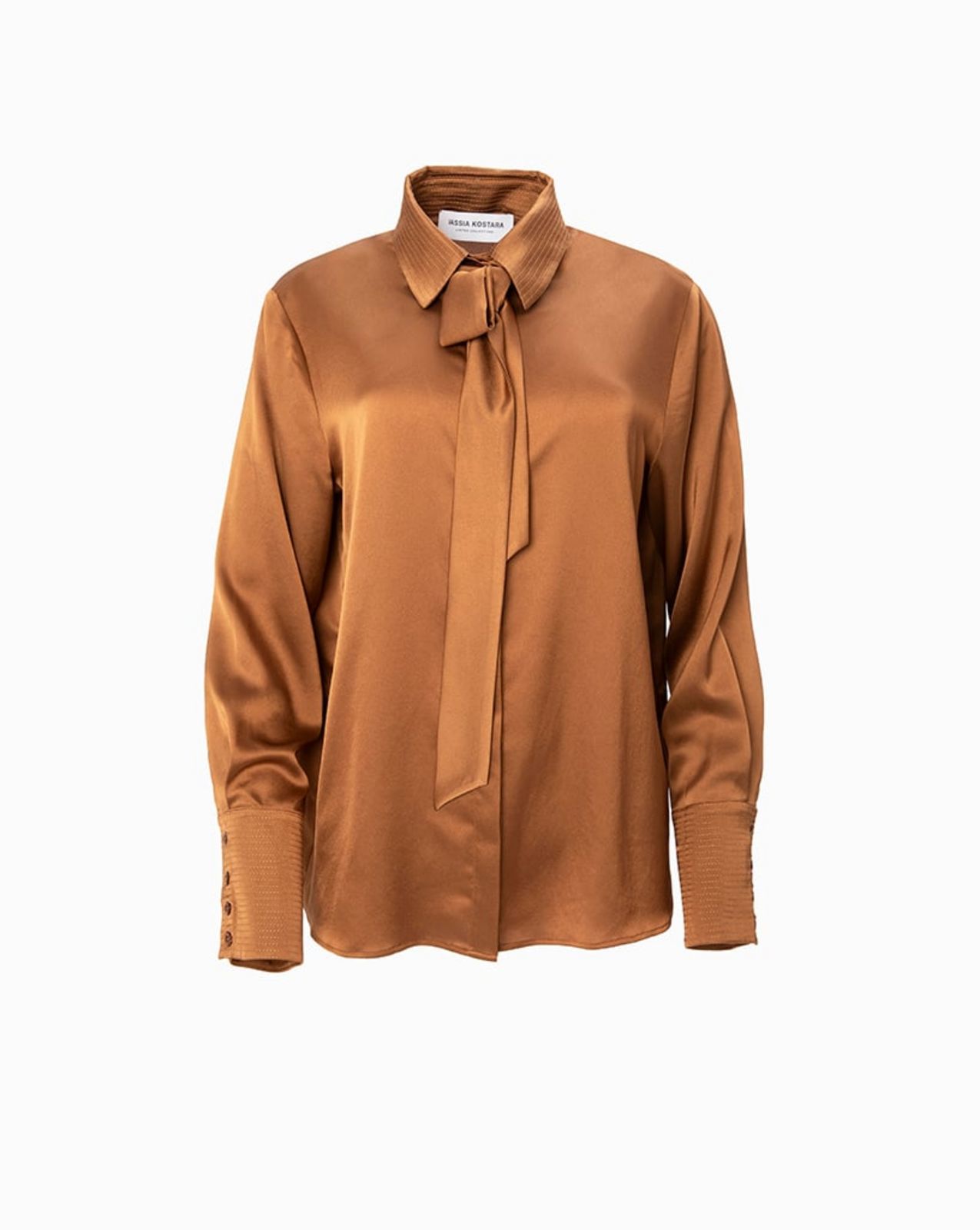 Picture of Bronze Embroidery Detail Shirt