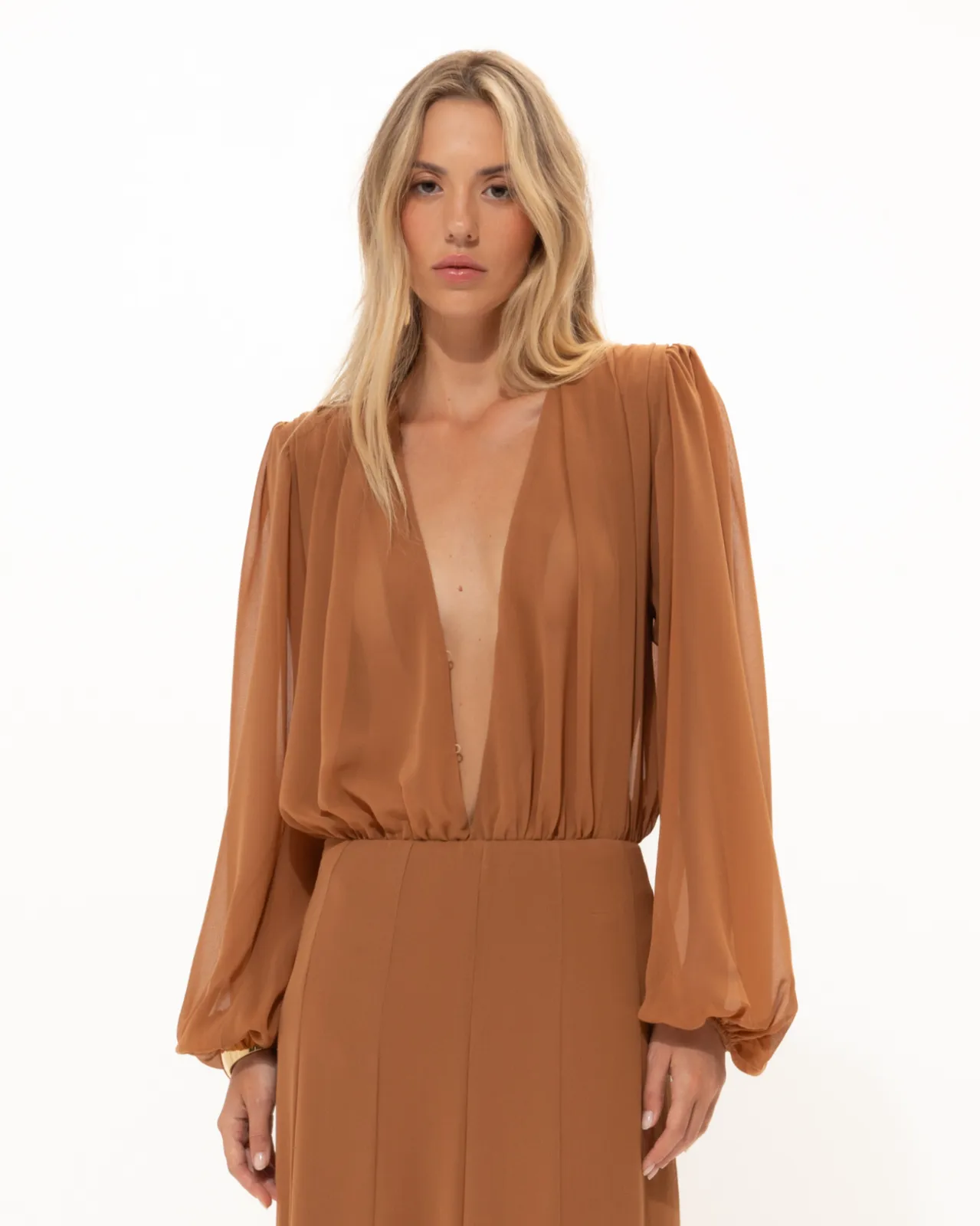 Picture of Caramel Sheer Top