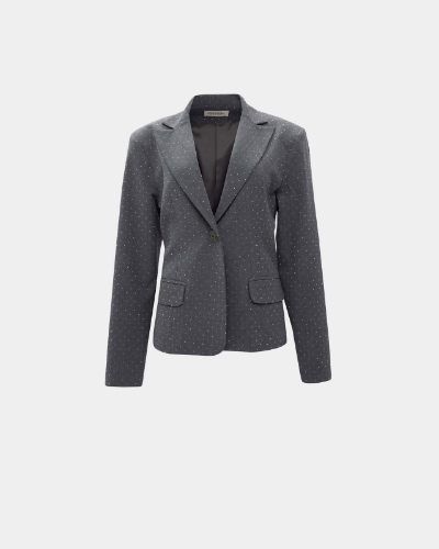 Picture of GREY SPARKLE BLAZER